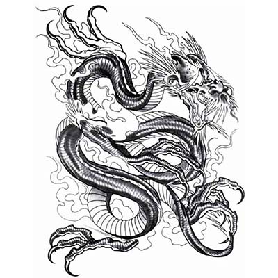 Chinese Dragon Designs Water Transfer Temporary Tattoo(fake Tattoo) Stickers NO.11139